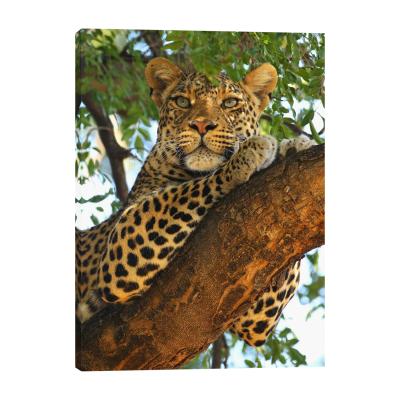 China New Classic/Postmodern Leopard on Tree Rest Artwork Decor for Home Wall Art Canvas Paintings Luxury Posters Prints Living Room Bedroom Wall Chart for sale