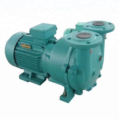 China SK-0.15 Food Water Direct Ring Vacuum Pump for sale