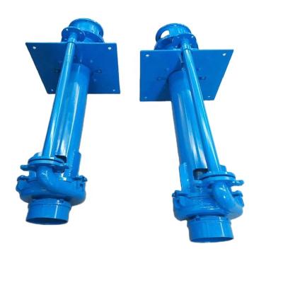 China Other Fiscal Series Corrosive Vertical Submerged Pump Mining Industry for sale