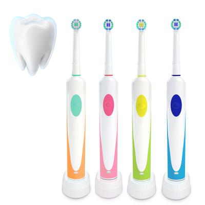 China Cepillo Electrico Electric Toothbrush Spazzolino Tooth Stain Remover Tooth Cleaner Clean Sikat Gigi 360 Rotating Toothbrush for sale