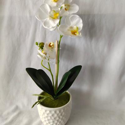 China Europe 2020 New Decorative Artificial Flowers With Vase Butterfly Moth Orchid Artificial Orchids Flower for sale