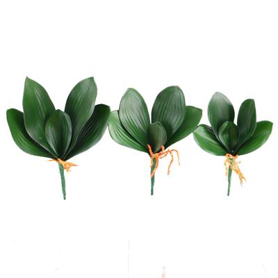 China Fashionable PU Real Touch Artificial Butterfly Orchid Leaves DIY Hand Feeling Leaf For Wholesale for sale