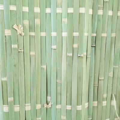 China Sustainable sukkah mat bamboo sukkot mat for sale