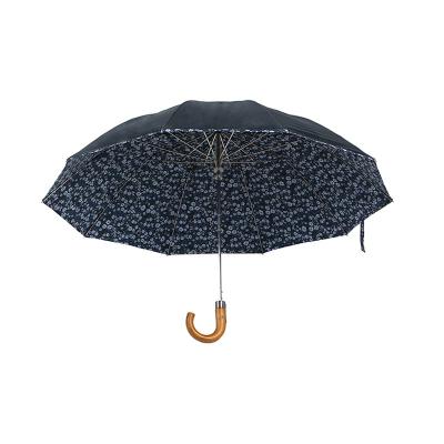 China Super Strong Frame Europe Pongee Solid And Canopies 2 Double Fold Nickel Printed Automatic Umbrella for sale