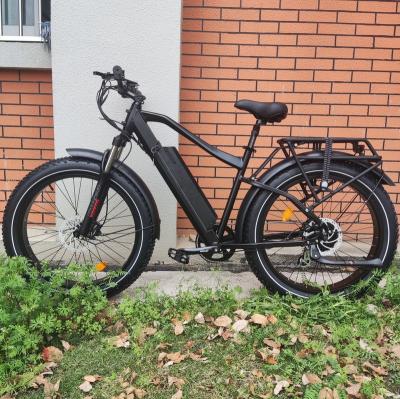 China Aluminum alloy China OEM vintage 1000w electric mountain bike with rear 8fang motor lowest price on sale for sale