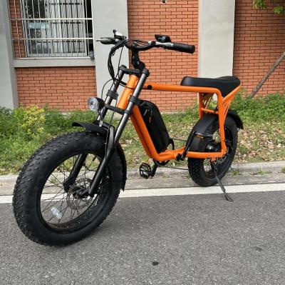 China Cheap Price High Quality 750W Aluminum Alloy Moto Bike Moped Style Electric Bike 48V 1000W Electric Bike With Best Quality for sale