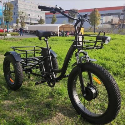 China High quality cheap electric bike 3 wheel tricycles 3 wheel E cargo bike 48v 500w electric cargo bike for sale for sale