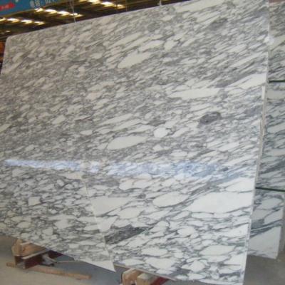 China Arabescato Corchia 600x600 Modern White Marble Tiles for sale