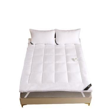 China Eco - Friendly Microfiber Fillings High Density Comfort Bed Cushion Mattress Protector Cover for sale