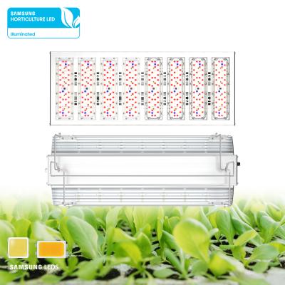 China Seed Seed Growing Nalite 1930 1000W Hps Greenhouse Full Spectrum 660Nm Indoor Plant 600W Led Grow Light Samsung Lm301B for sale