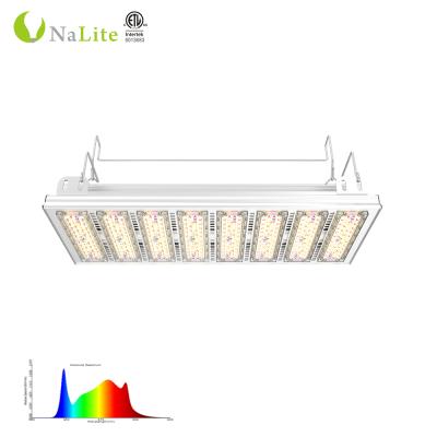 China Seed Starting 1000W Samsung Led Source Ip65 Hydroponics Spectrum Greenhouse Led Grow Light for sale