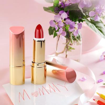 中国 Square / Round Makeup Tool Set Empty Lipstick Tube Container Customizable 販売のため