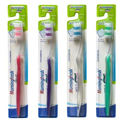 China For Home Use Factory direct sales morning fresh series translucent solid color toothbrush protects teeth and cleans mouth plastic toothbrush for sale