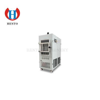 China 0.5m2 industrial freeze drying fruit machine / vacuum freeze dryer for sale for sale