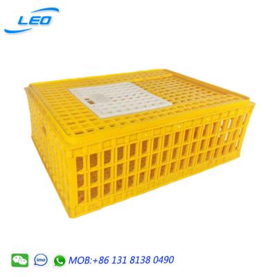 China Best Selling Plastic Mesh Chicken Crate Chicken Transport Crate For Sale for sale