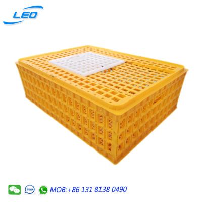 China Mesh Plastic Collapsible Chicken Transport Cage / Turnover Crate for sale