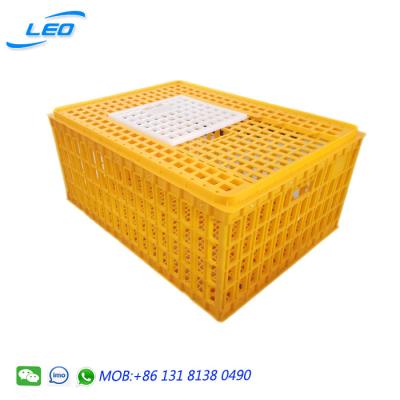 China Best Price Plastic Mesh Transport Crate For Turkey With High Strength And Quality for sale