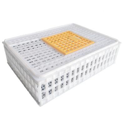 China Plastic Mesh Best Price Transport Crate Cage For Pigeon And Quail Transport Cage for sale