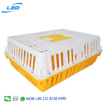 China Mesh Best Quality Plastic Chicken Transport Crate for sale