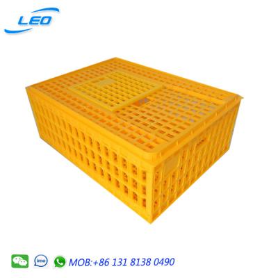 China Cultivate new design chicken box chicken transport crate plastic poultry cage for sale