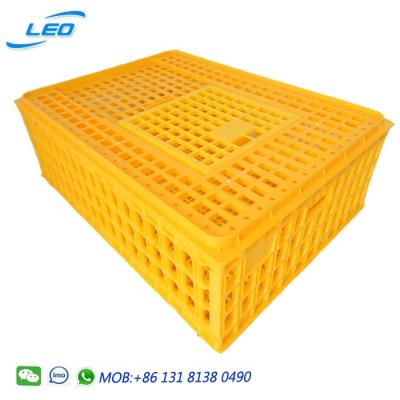 China Cultivate High Quality Poultry Plastic Poultry Chicken Pen for sale