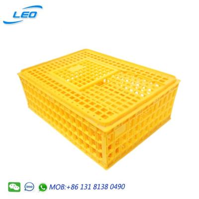 China High Quality Large Size Mesh Poultry Transport Crate for sale