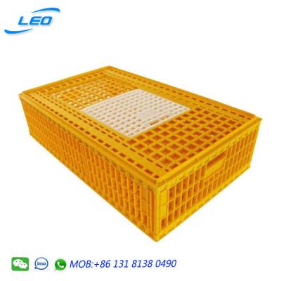 China Plastic Mesh Color Chicken Crate Poultry Transport Crate Customized With High Quality for sale