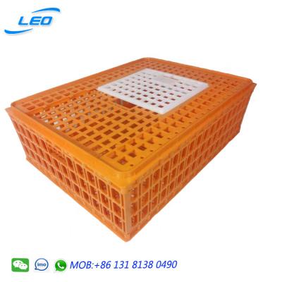 China 2021 New Design Best Price Mesh Chicken Crate Plastic Transport Cage For Chicken And Poultry for sale