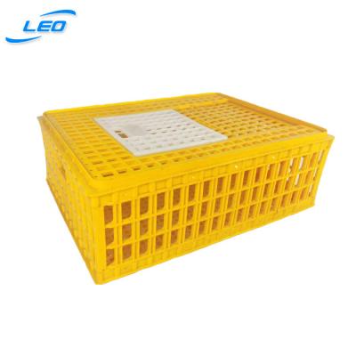 China Best Price Plastic Mesh Transport Crate For Live Poultry With CE Certificate for sale