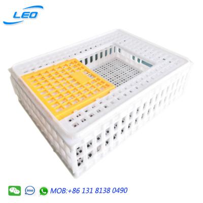 China Big size plastic farms transport crate for small birds poultries quails for sale