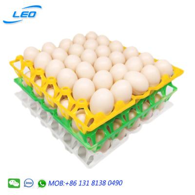 China High Quality Egg Tray Chicken Egg Tray Chicken Egg Carrier Tray Egg Tray for 30 Chicken Eggs for sale