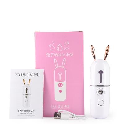 China Chinese Portable Power Bank Bottle Sprayer Bottle Mist Moisturizer Nano Factory Nano Mist Spray Facial Mister Steamer 2022 for sale