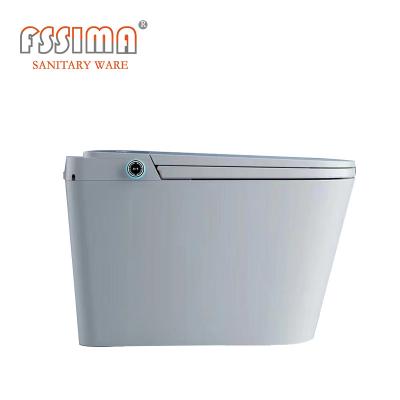 China 4.5L p-Val Slim Toilet Japanner met Auto de Sifonwashdown van de Bidetwas Te koop