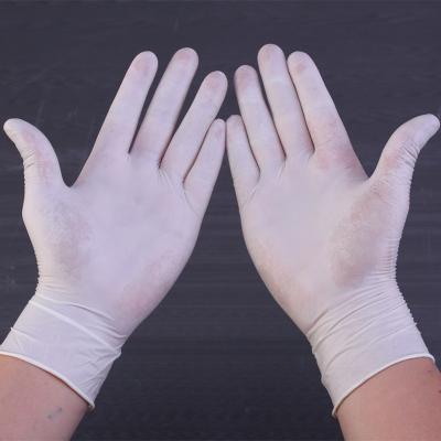 China Disposale Wholesale Touchntuff Gloves Latext Gloves Powder Free Gloves Latex Powder Free for sale