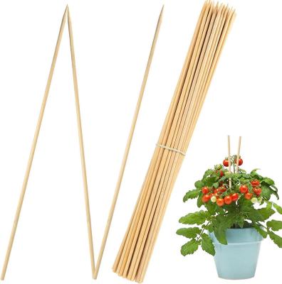 China Morden Luxury Wholesale Various Sizes Disposable Bamboo Sticks Garden Plant Pot Support Stick For Growing Plants for sale