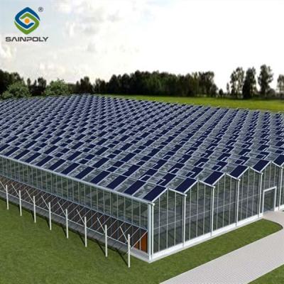 China Glass Polycarbonate Cover Photovoltaic Greenhouse Include Automated Sytems for sale