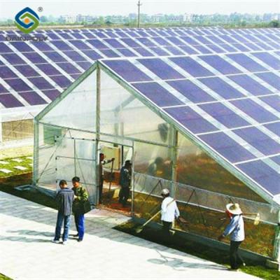 China Strong Metal Frame Greenhouse Automatic Systems  Solar Energy Green House for sale