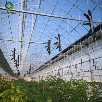 China Single Span Tomaten Gewächshaus Hydroponik Große Glasgewächshäuser zu verkaufen