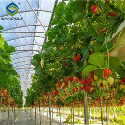 China Single Span Commercial Greenhouse Kits Plastic Film Tunnel Greenhouse Stable Structure for sale