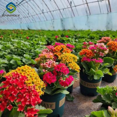 China Rectangular Large Commercial Greenhouse Multispan Agricultural Greenhouse for sale