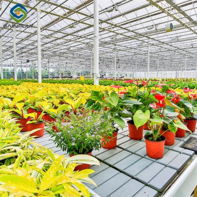 China Intelligent Smart Flower Greenhouses With Hydroponic System Rolling Bench Planting Bags for sale