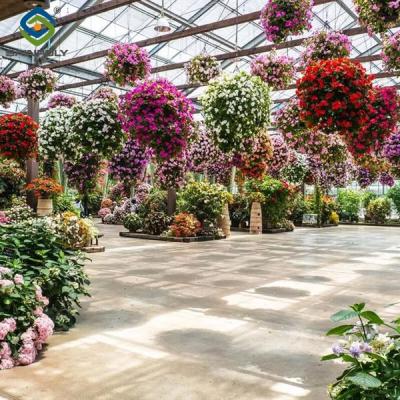 China Stronger Structure Flower Greenhouse Waterproofing Weather Resistant for sale