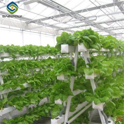 China Sainpoly Hydroponic Lettuce Greenhouse Tunnel Green House Customized for sale