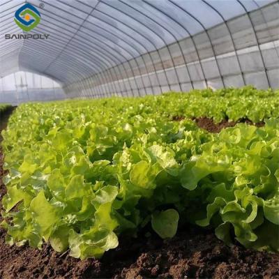 China Sainpoly Commercial Hydroponic Greenhouse For Plant Growing Lettuce for sale