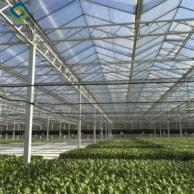 China Galvanized Frame Multi Span Greenhouse With Hydroponic Growing Systems for sale