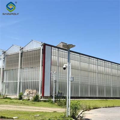 China Agricultural Polycarbonate Multi Span Greenhouse Venlo Style 30-60m Length for sale