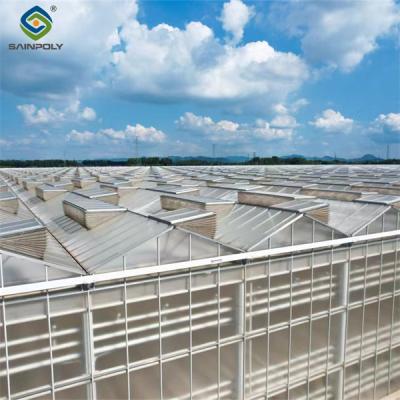 China Multi Span Agricultural Polycarbonate Green House Venlo Style Greenhouse for sale