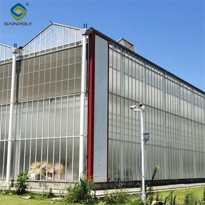 China Landbouw Polycarbonaat Venlo-type kas voor het planten van tomaten Te koop