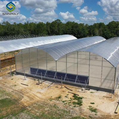 China Multi Span Arch Roof Polycarbonate Greenhouse With Intelligent Systems for sale