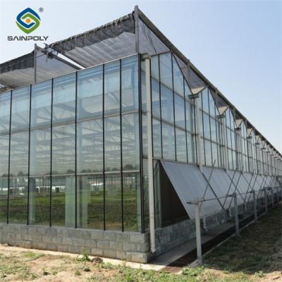 China High Strength Agricultural Glass Greenhouse Venlo Type Easy Installation for sale